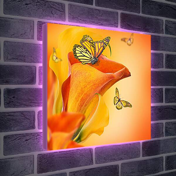 Лайтбокс световая панель - Бабочка опыляет цветок