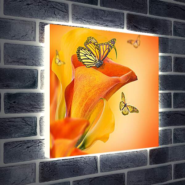 Лайтбокс световая панель - Бабочка опыляет цветок