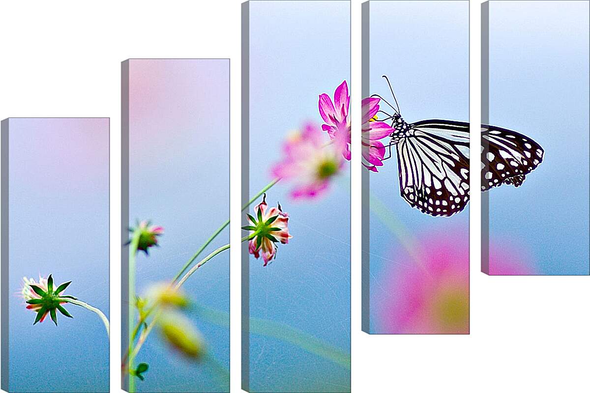 Модульная картина - Бабочка-монарх