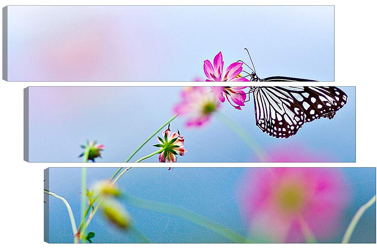 Модульная картина - Бабочка-монарх