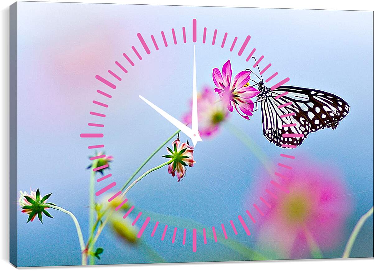 Часы картина - Бабочка-монарх