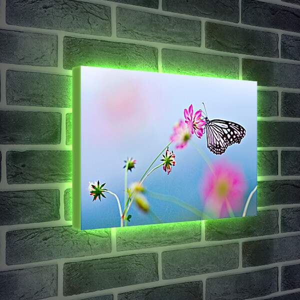 Лайтбокс световая панель - Бабочка-монарх