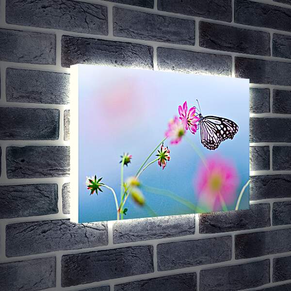 Лайтбокс световая панель - Бабочка-монарх