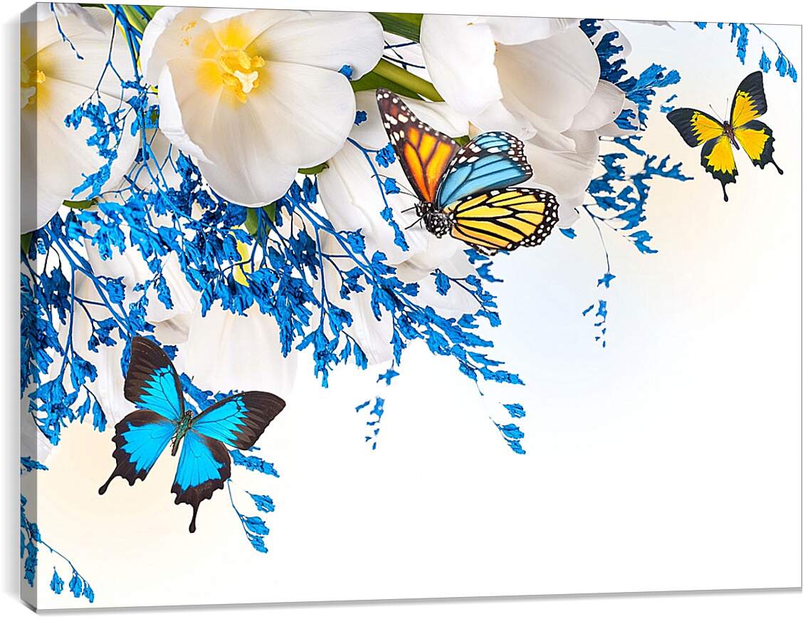 Постер и плакат - Бабочки разных цветов