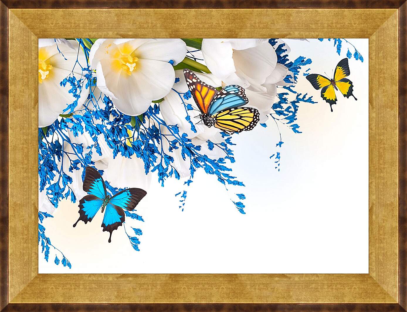 Картина в раме - Бабочки разных цветов