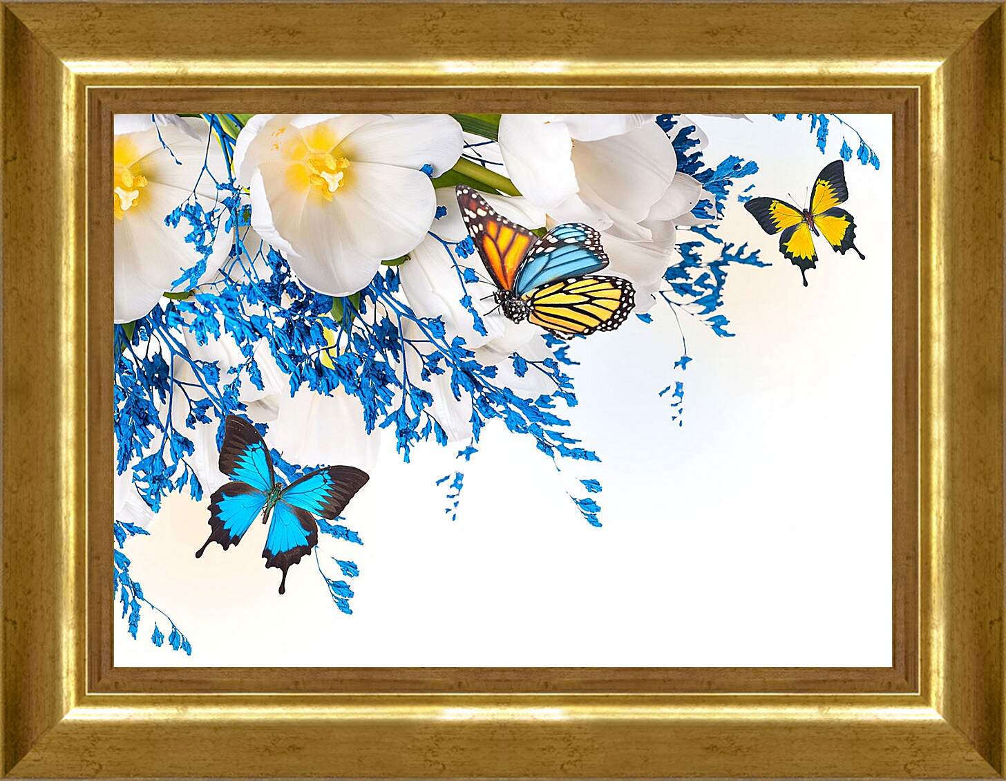 Картина в раме - Бабочки разных цветов