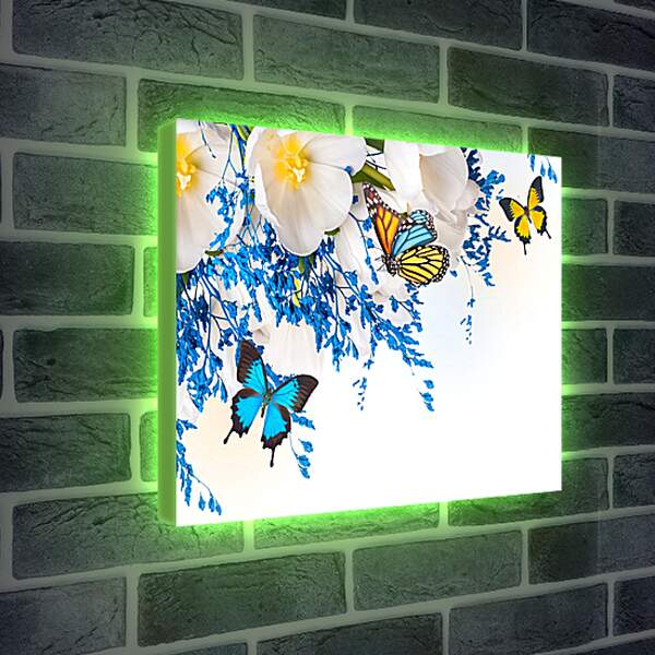 Лайтбокс световая панель - Бабочки разных цветов