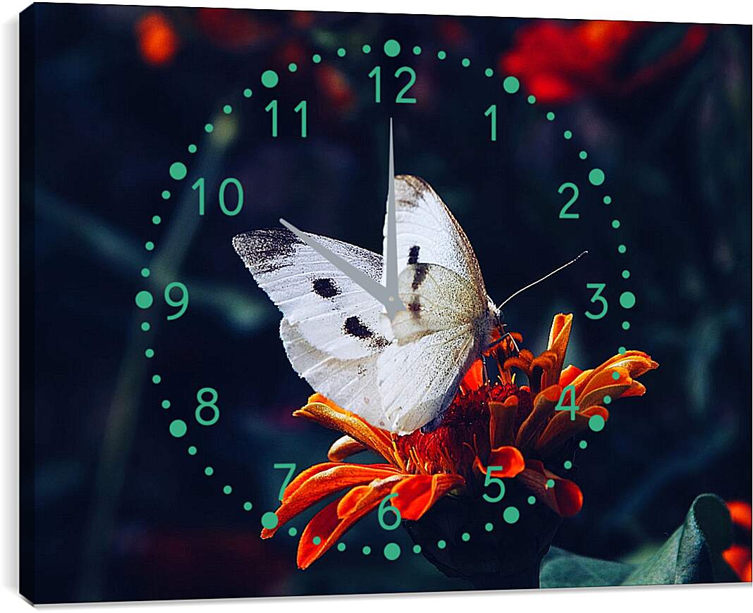Часы картина - Белая бабочка на цветке
