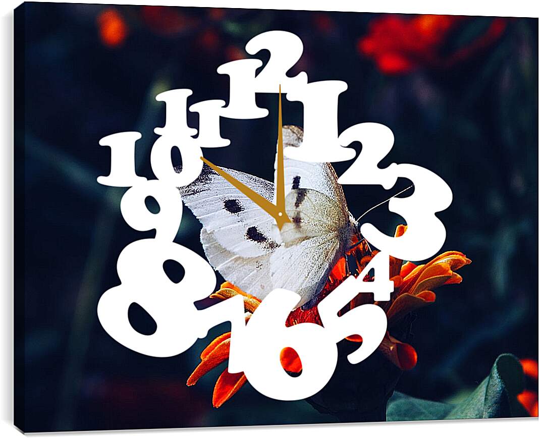 Часы картина - Белая бабочка на цветке