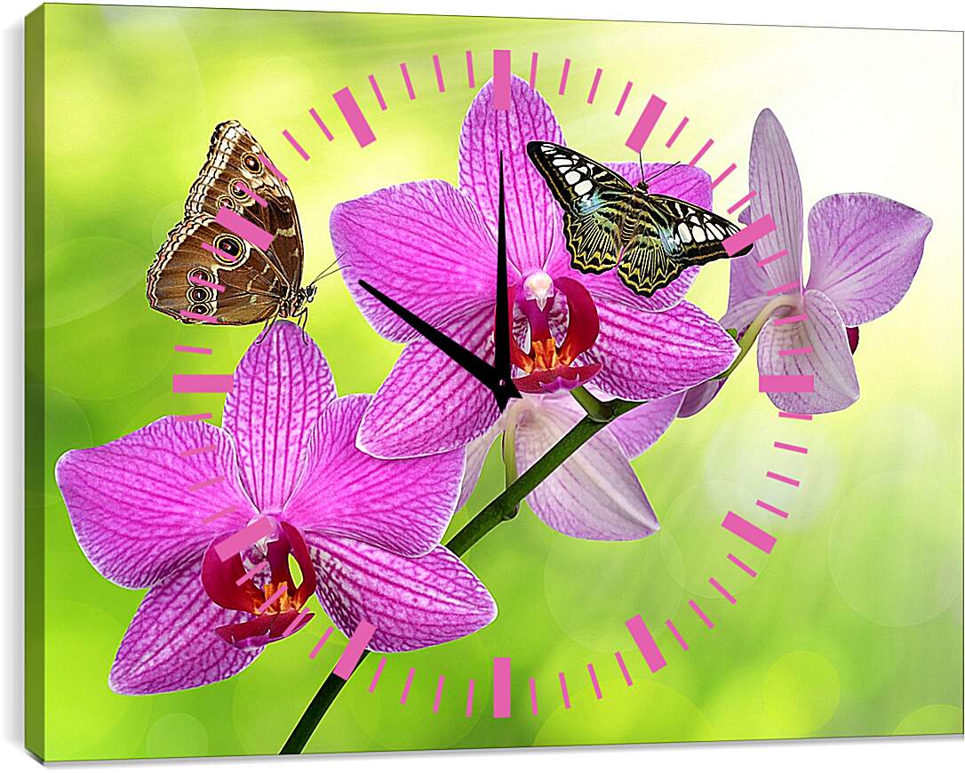 Часы картина - Две бабочки на орхидее