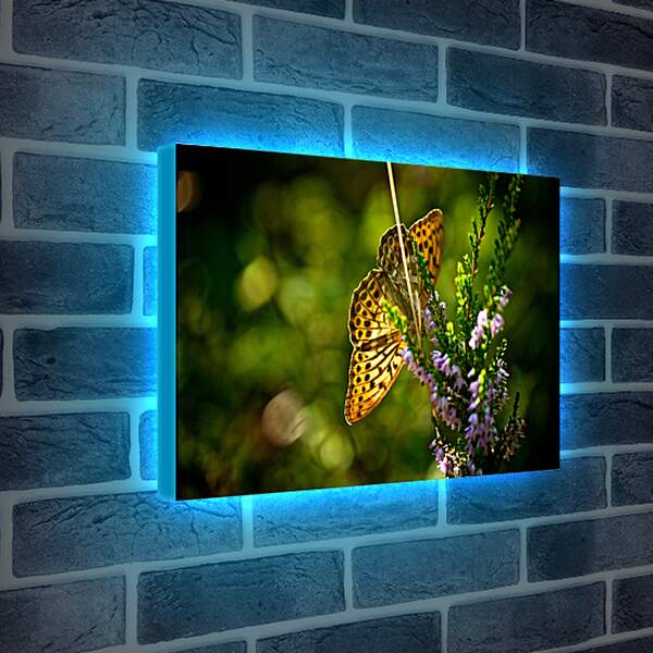 Лайтбокс световая панель - Желтая бабочка