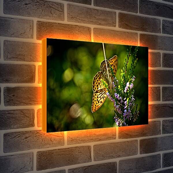 Лайтбокс световая панель - Желтая бабочка
