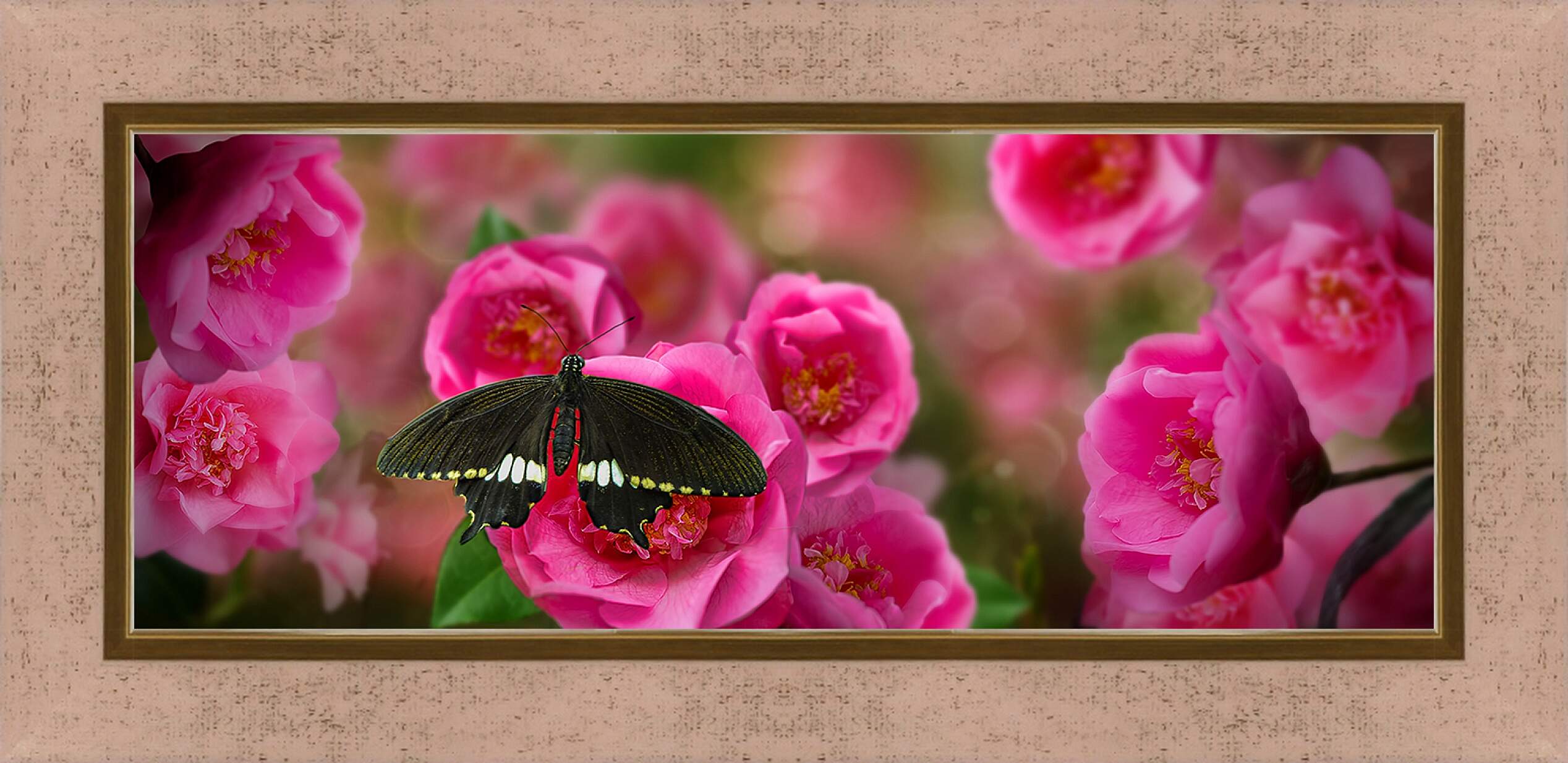 Картина в раме - Красивая бабочка