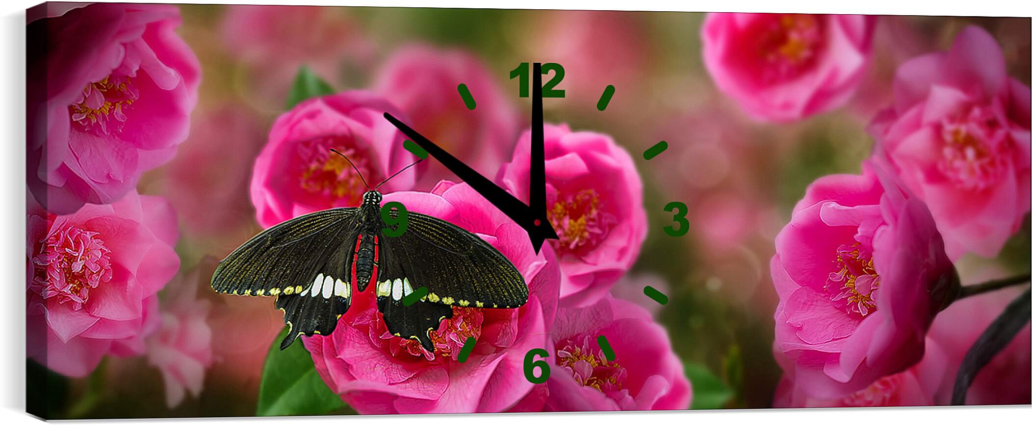 Часы картина - Красивая бабочка