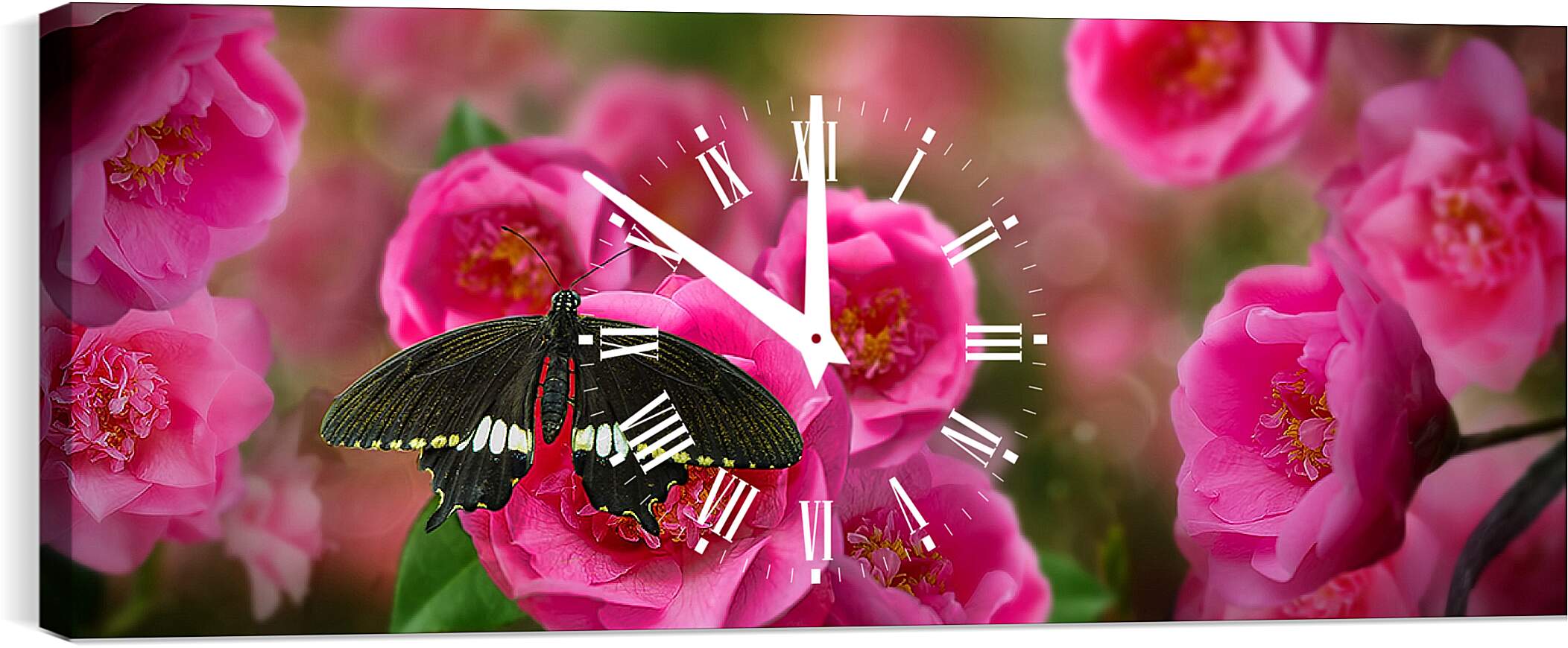 Часы картина - Красивая бабочка