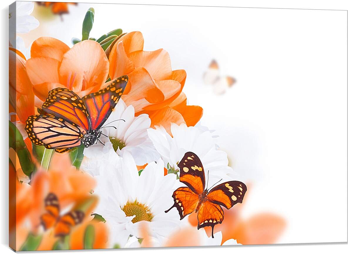 Постер и плакат - Оранжевая бабочка