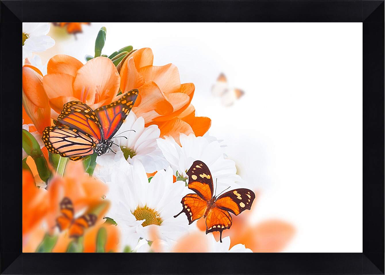 Картина в раме - Оранжевая бабочка