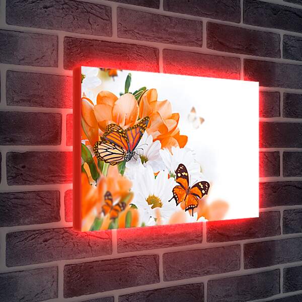 Лайтбокс световая панель - Оранжевая бабочка