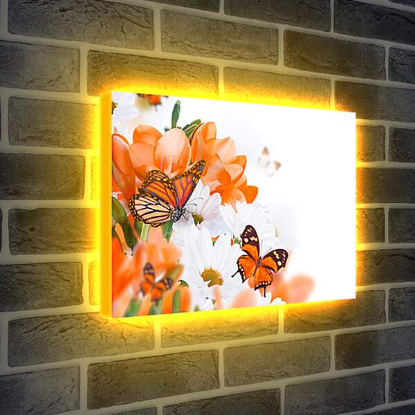 Лайтбокс световая панель - Оранжевая бабочка