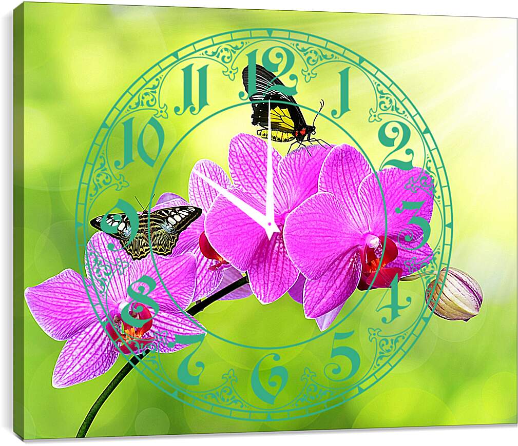 Часы картина - Цветы орхидеи и бабочка