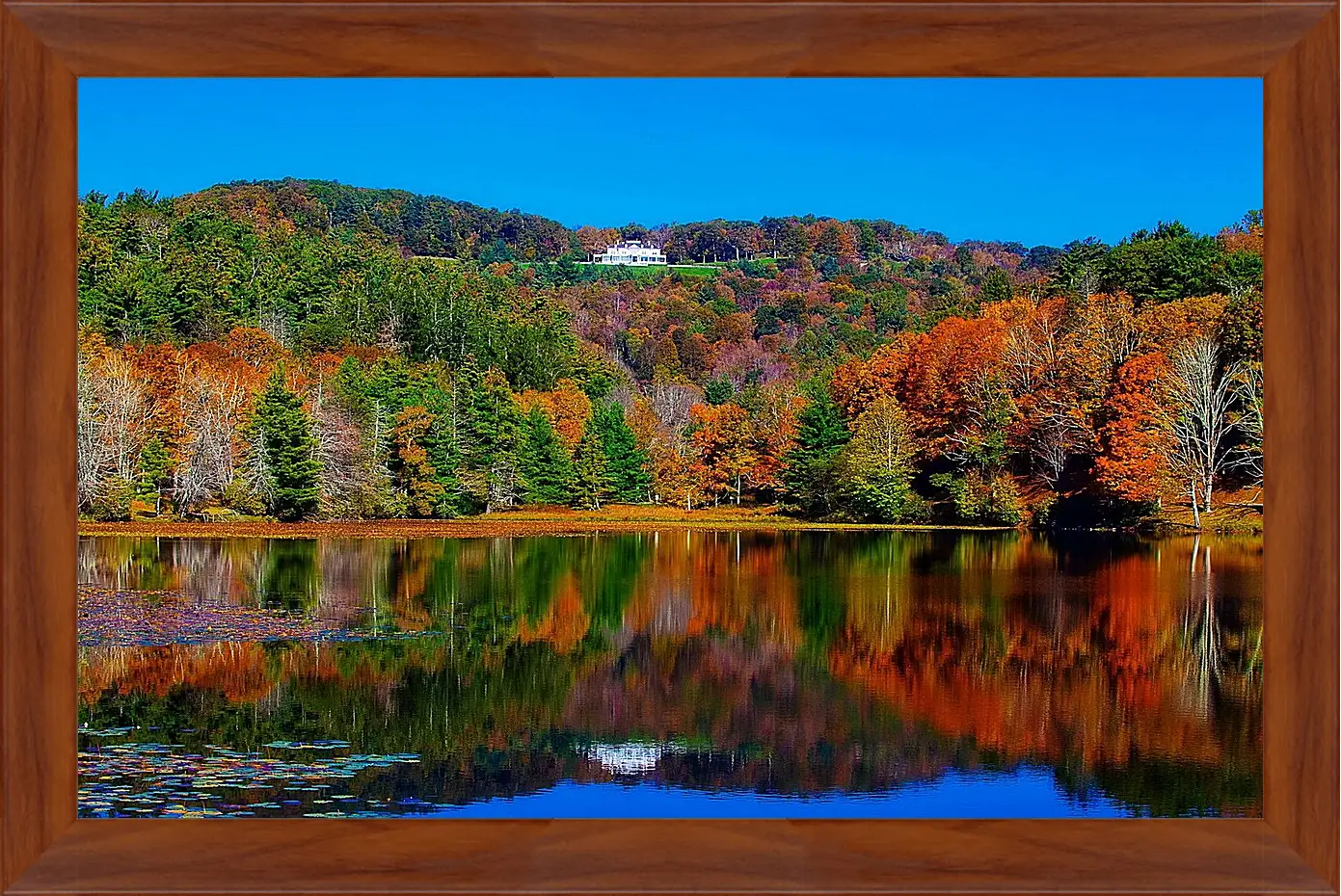 Картина в раме - Осень