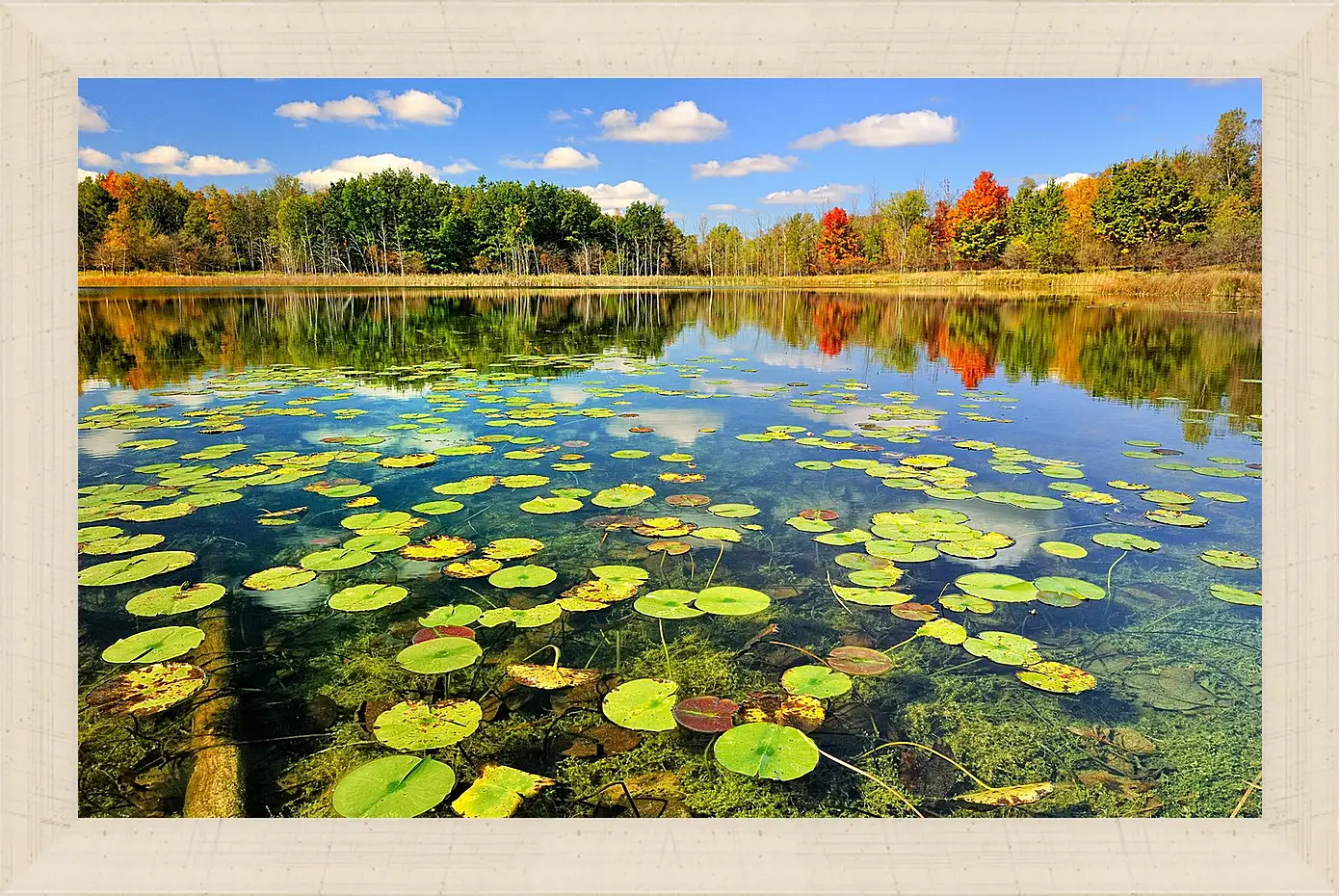 Картина в раме - Осень