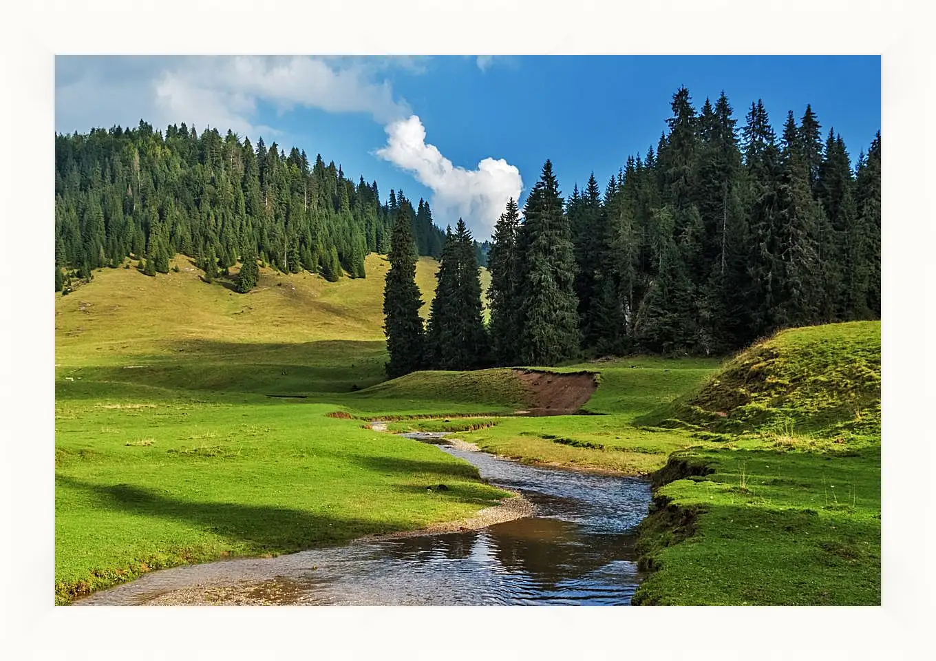 Картина в раме - Пейзаж