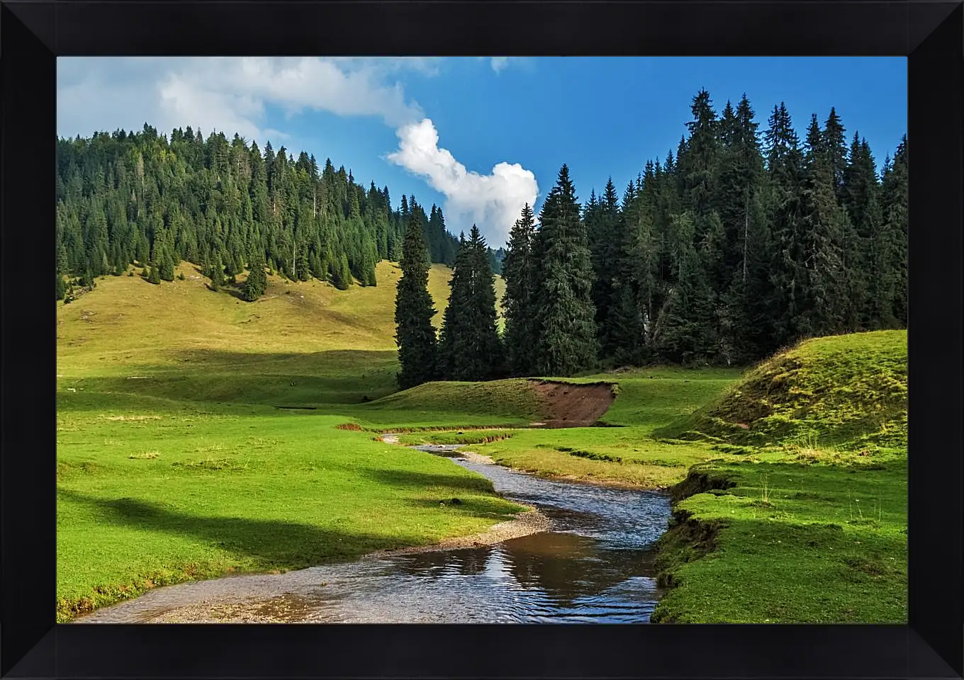 Картина в раме - Пейзаж