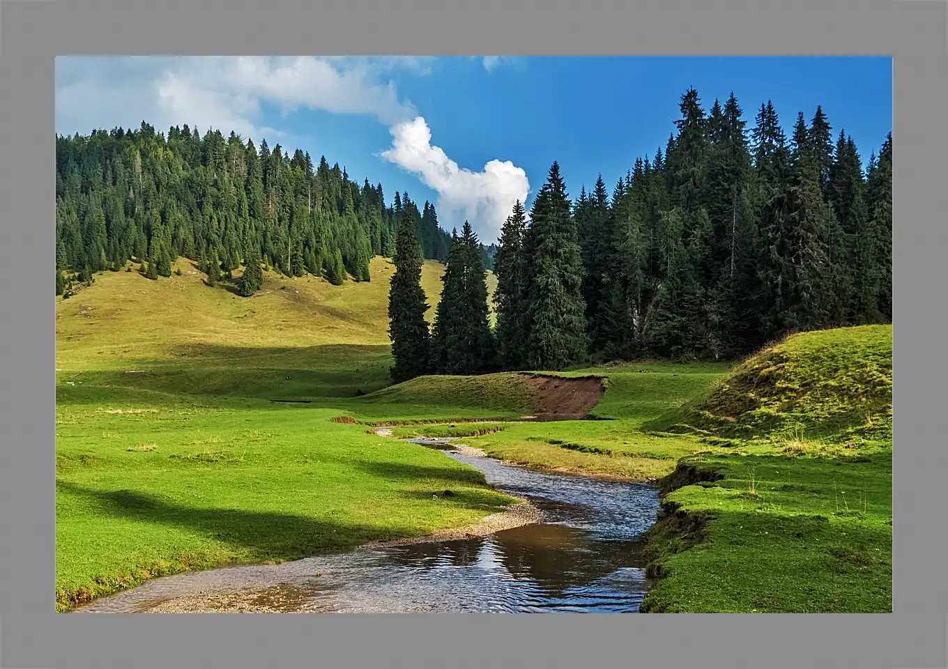 Картина в раме - Пейзаж