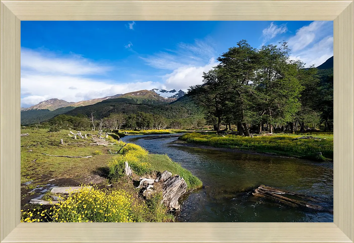 Картина в раме - Пейзаж