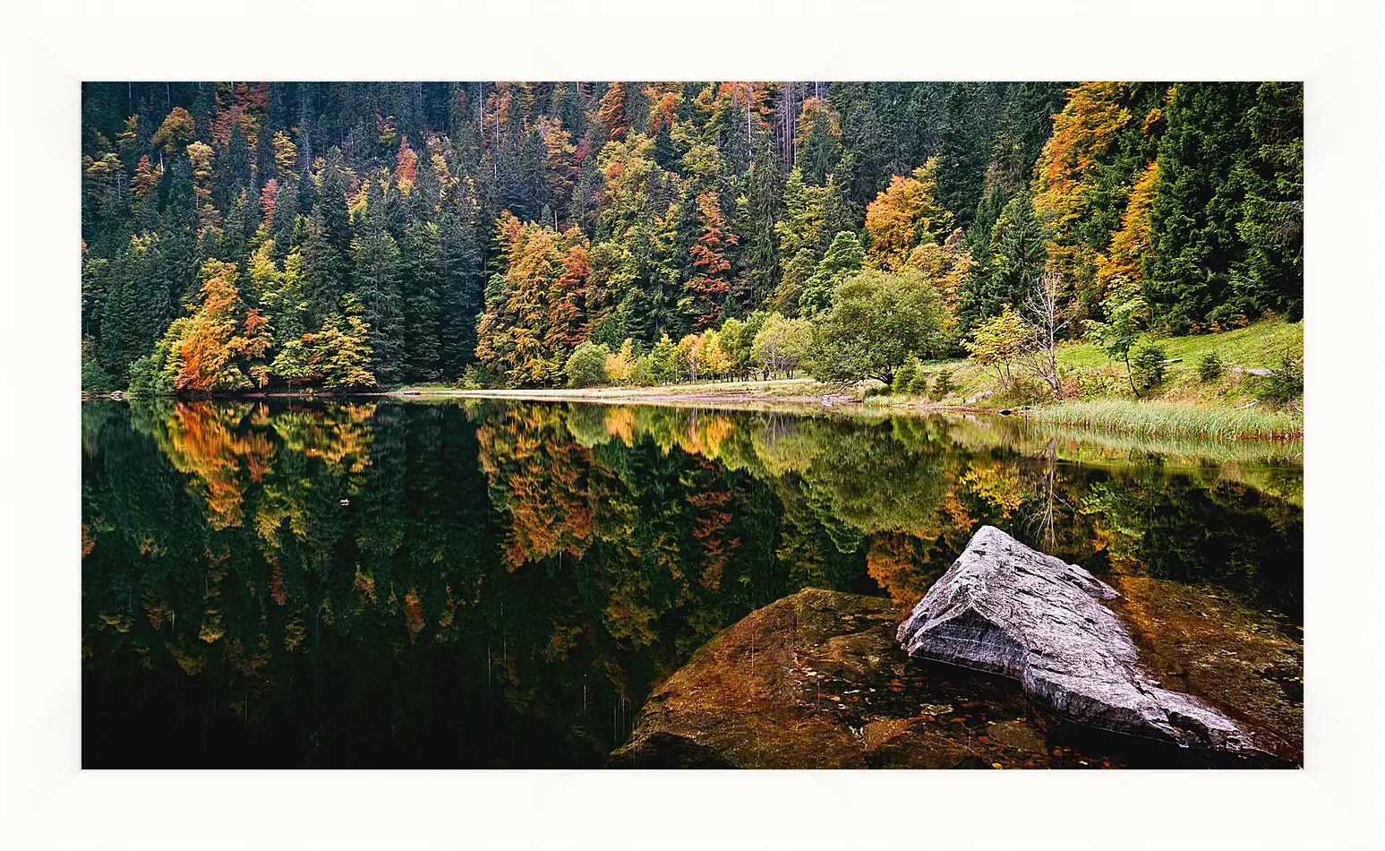 Картина в раме - Осень