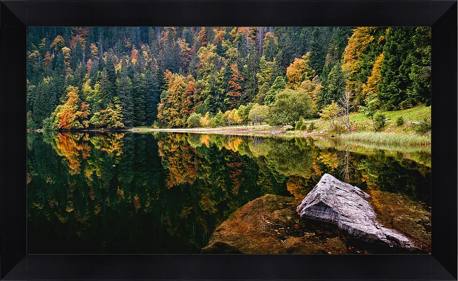 Картина в раме - Осень