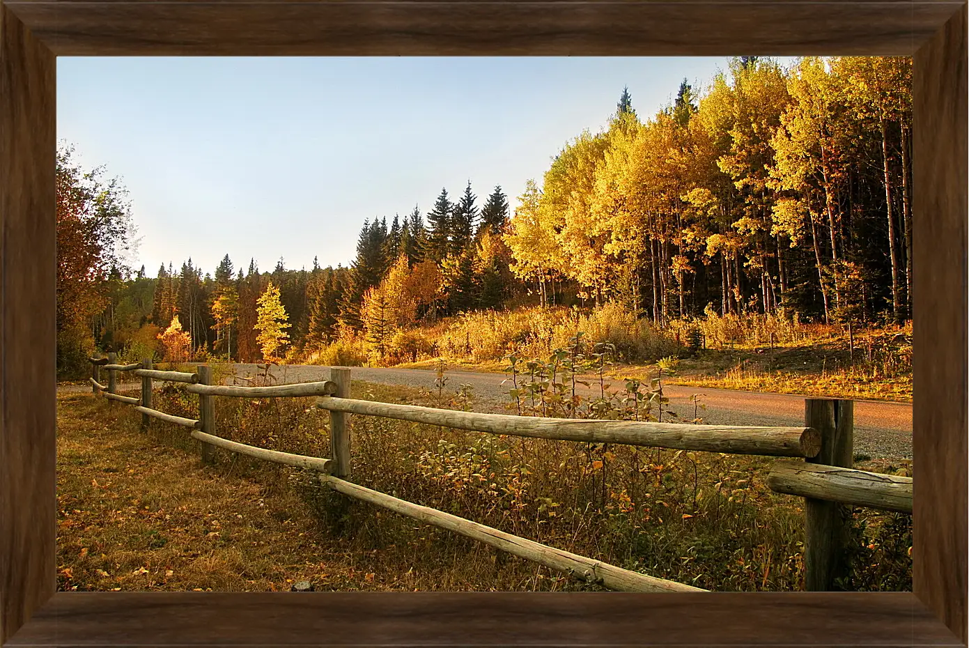 Картина в раме - Осень