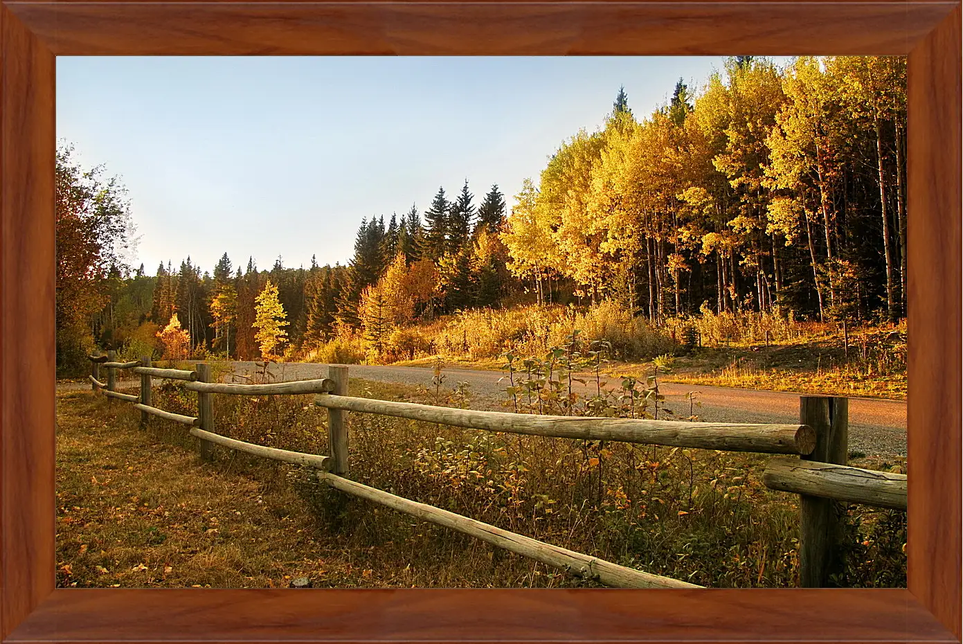 Картина в раме - Осень