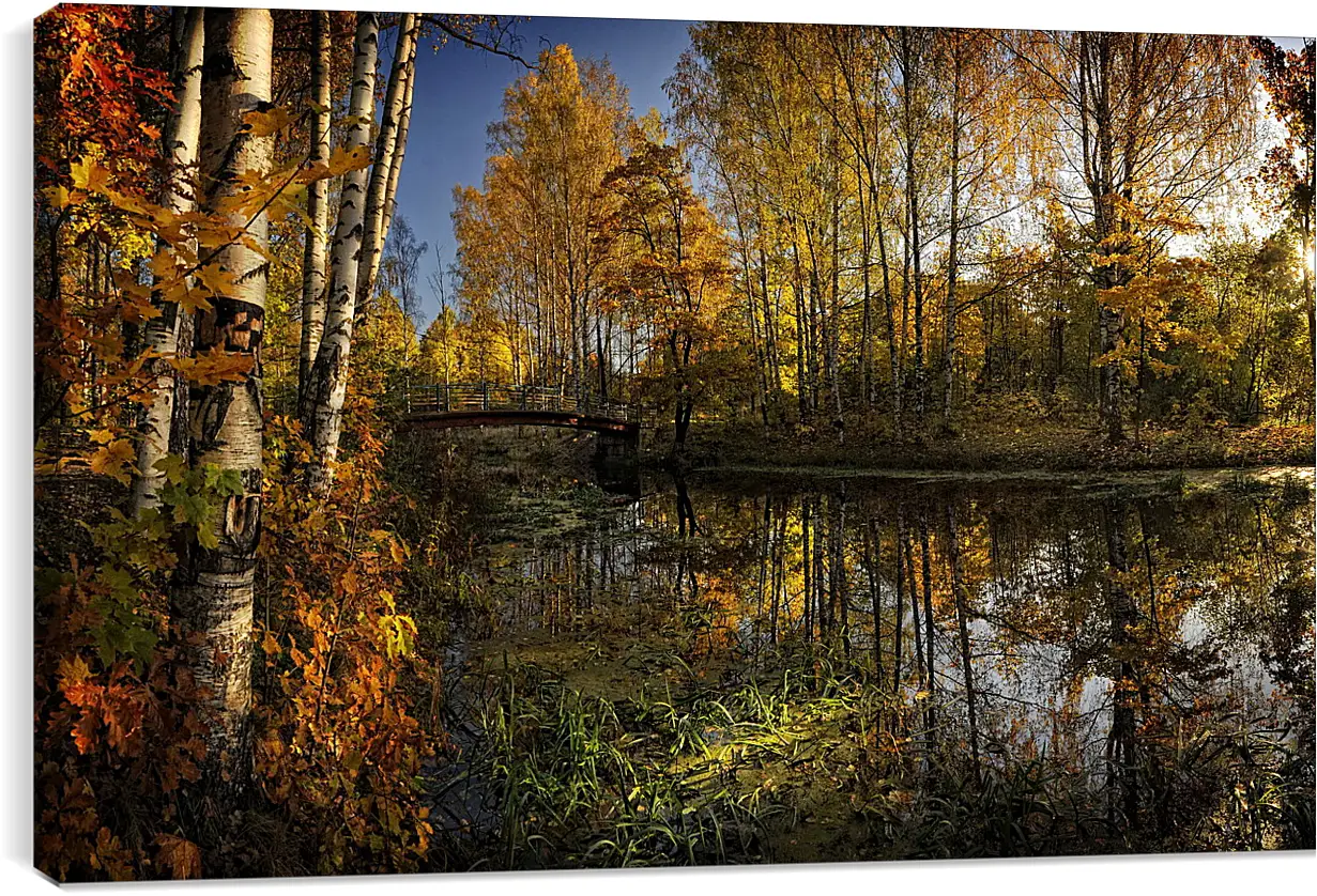 Постер и плакат - Осень