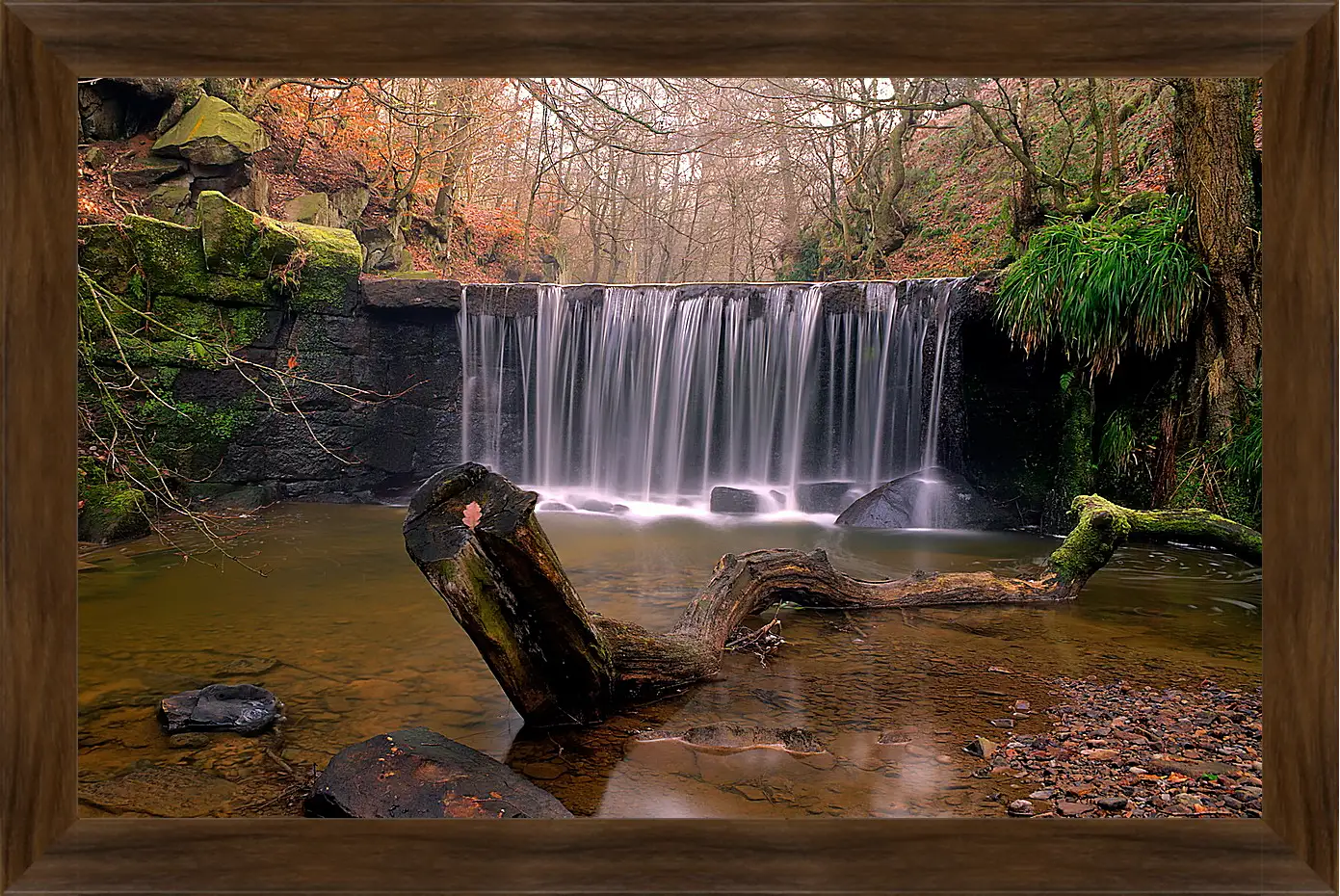 Картина в раме - Осень