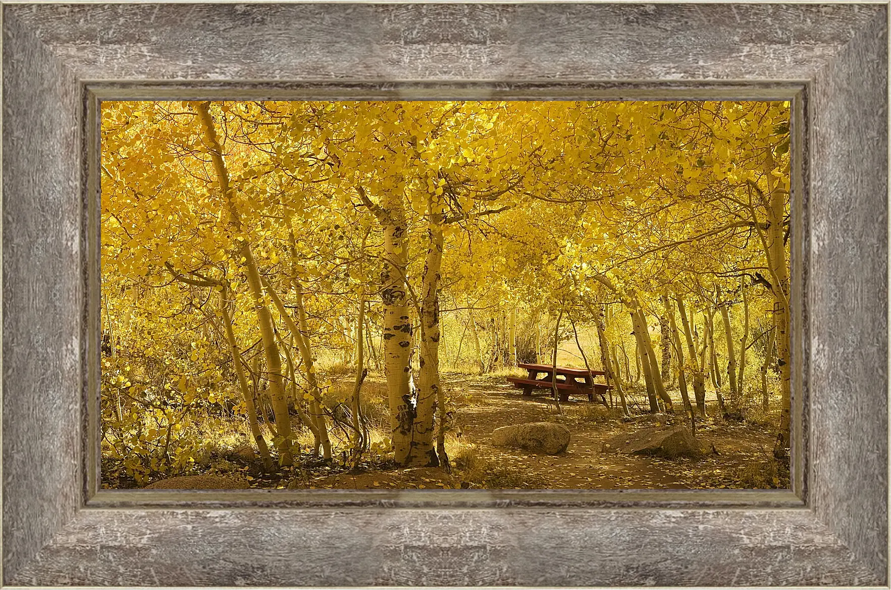 Картина в раме - Осень