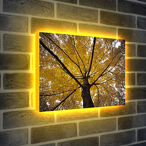 Лайтбокс световая панель - Осень