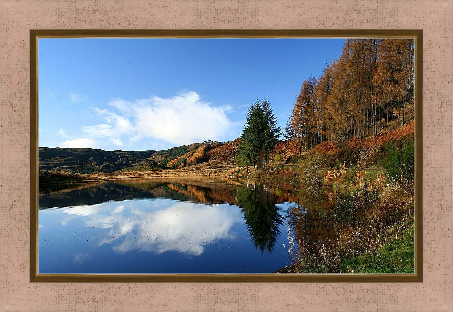 Картина в раме - Осень