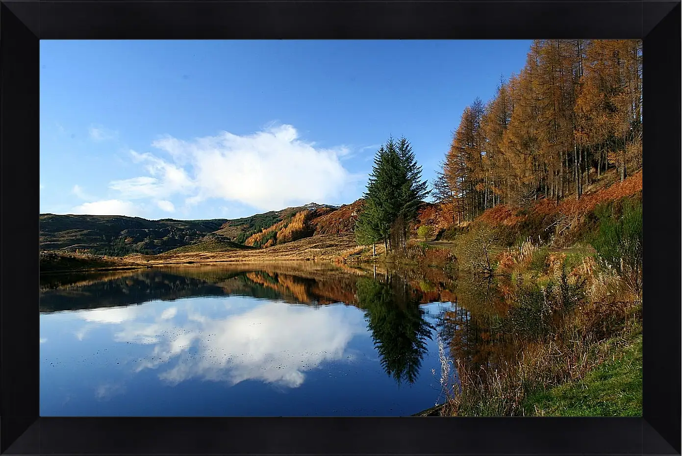 Картина в раме - Осень