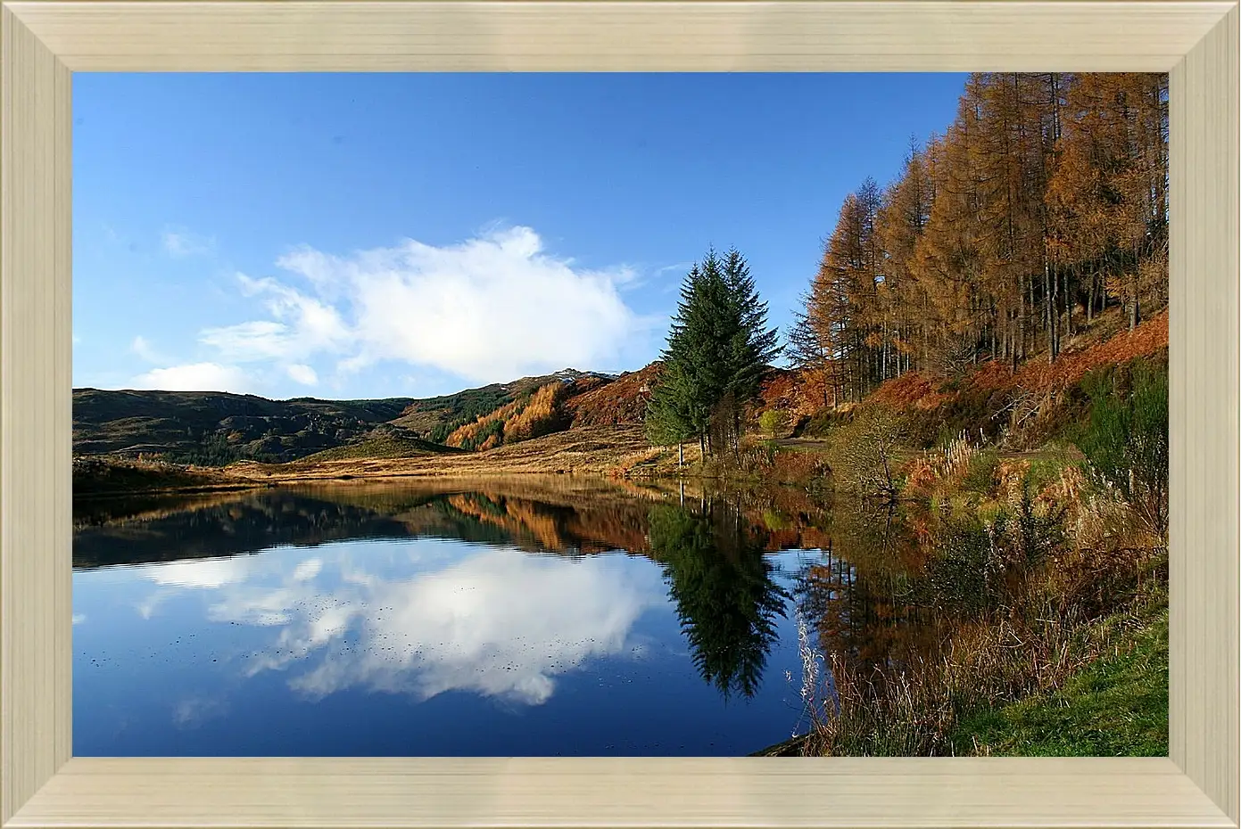 Картина в раме - Осень