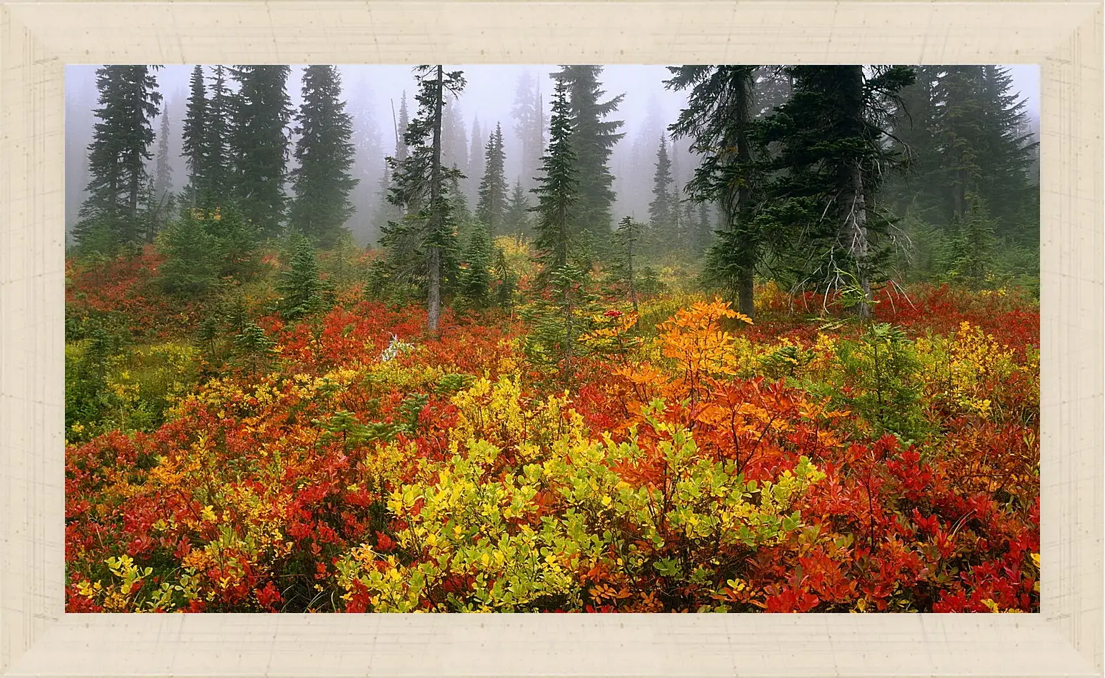 Картина в раме - Осень