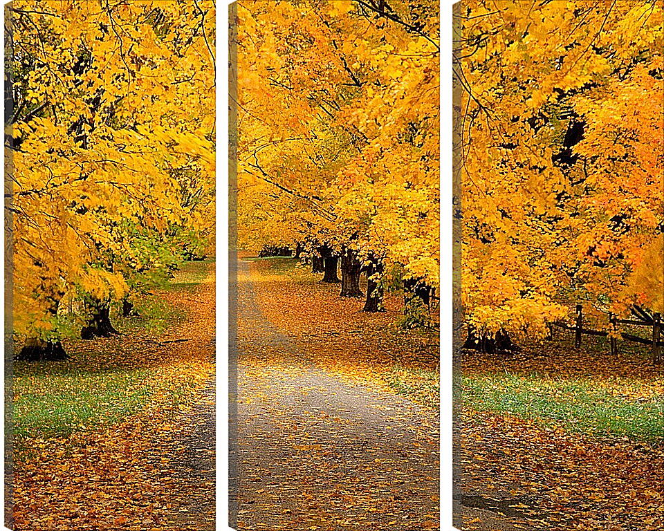 Модульная картина - Дорога в осень