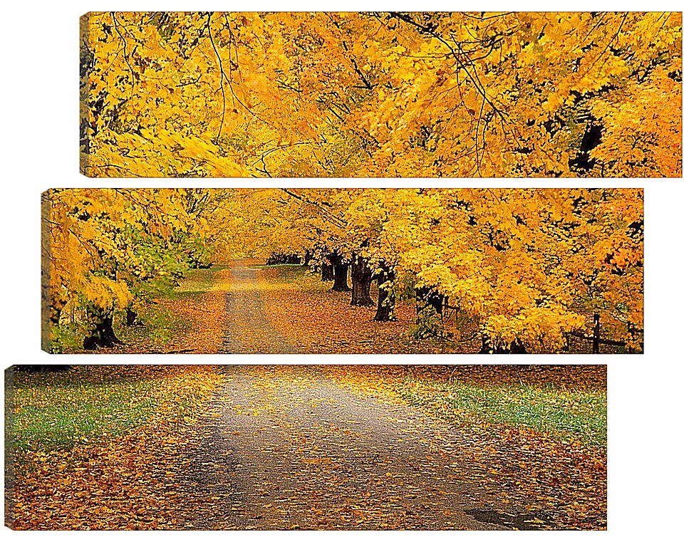 Модульная картина - Дорога в осень