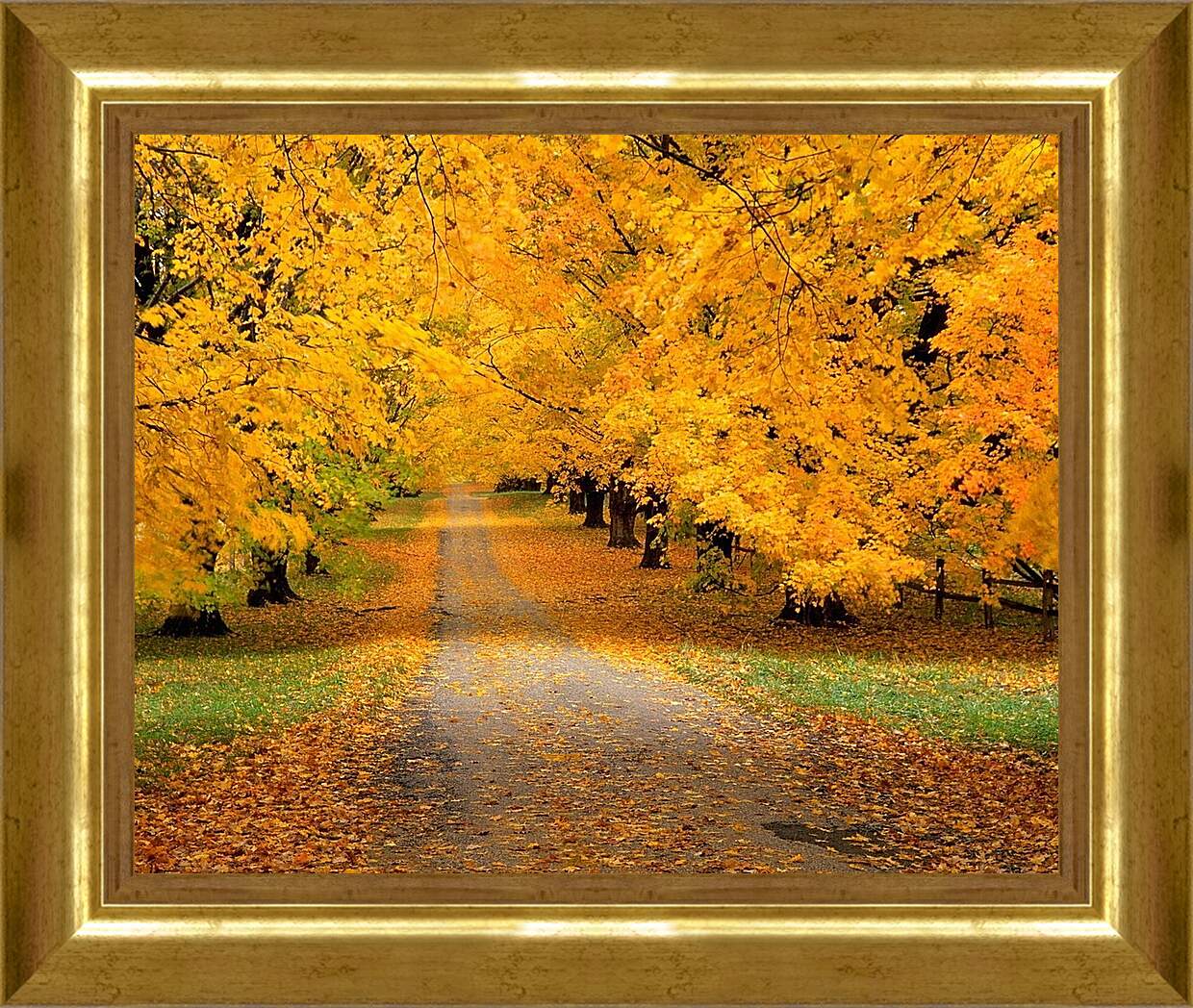 Картина в раме - Дорога в осень