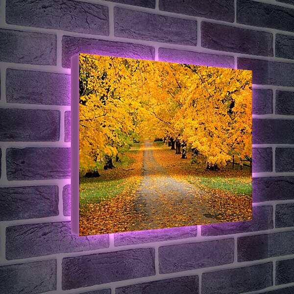 Лайтбокс световая панель - Дорога в осень