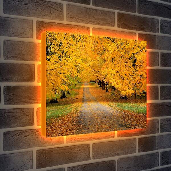 Лайтбокс световая панель - Дорога в осень