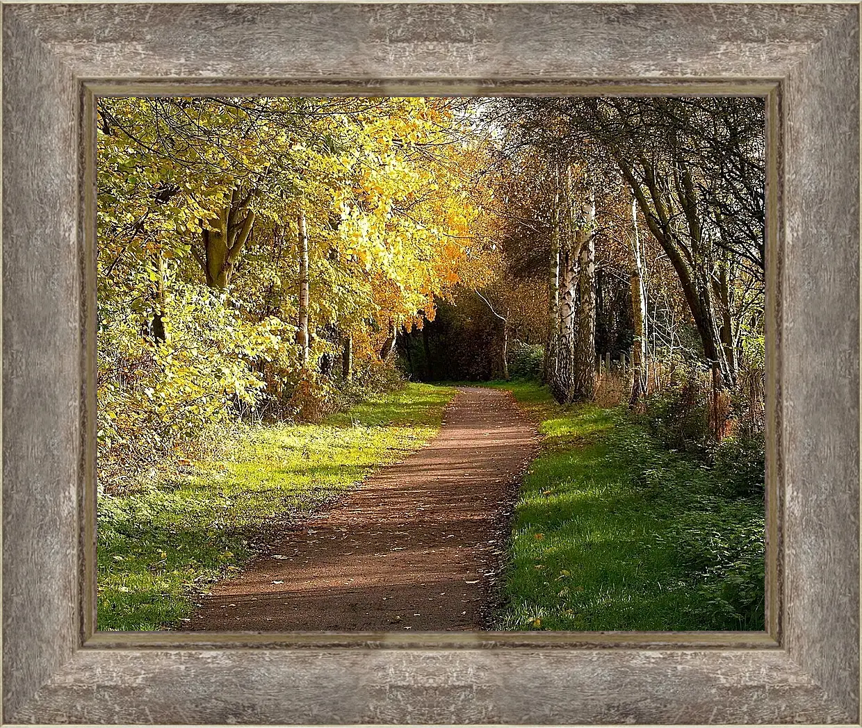 Картина в раме - Осень