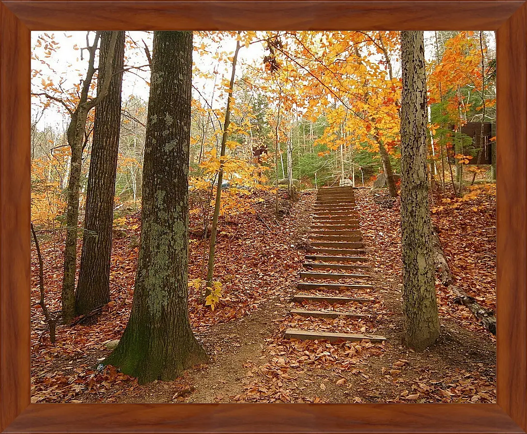 Картина в раме - Осень