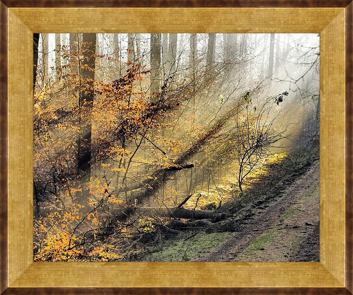 Картина в раме - Осень